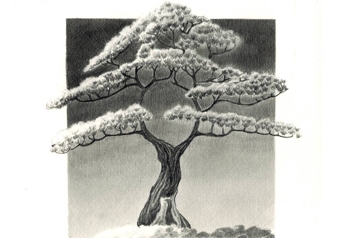 zeichnen lernen, Zeichenkurs in der nähe, zeichnen mit Bleistift, Bremgarten Ag, Art-akademie Susanne Brem,