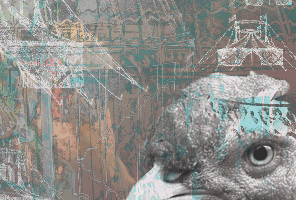 Fotomontage