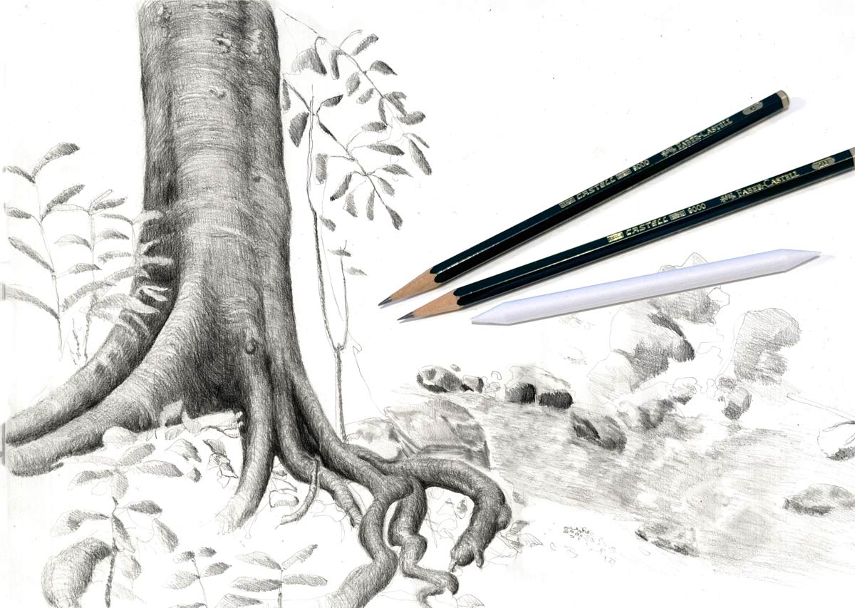 Zeichenkurse, Onlinekurse, zeichnen mit Bleistift, Bremgarten ART-Akademie Susanne Brem