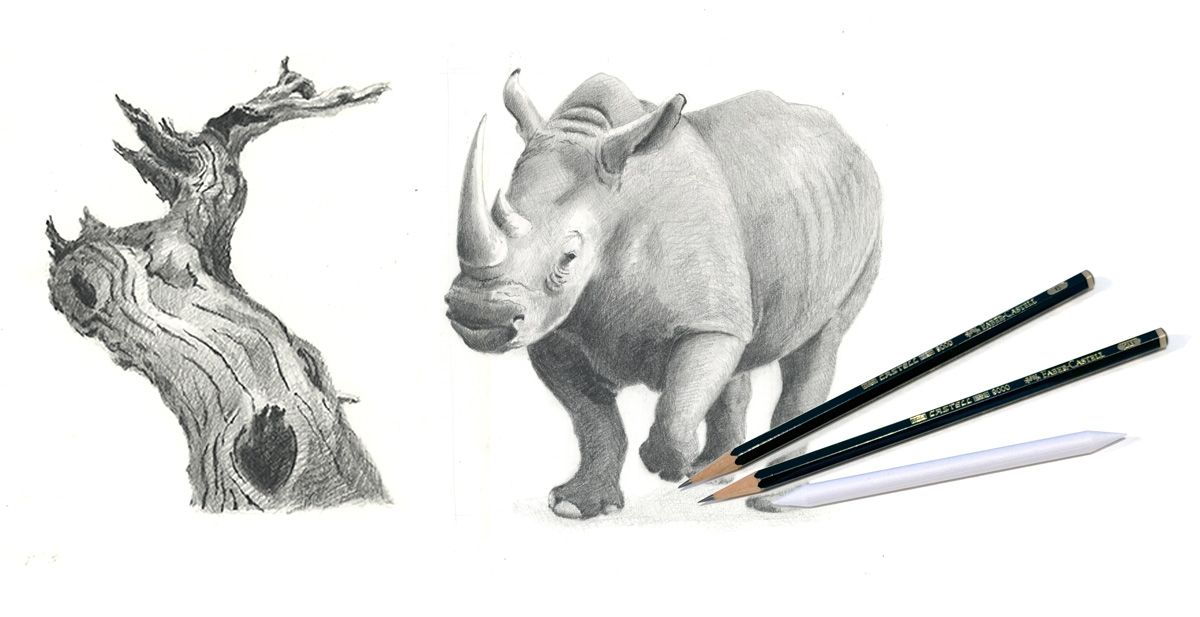 zeichnen lernen, Zeichenkurs in der nähe, zeichnen mit Bleistift, Bremgarten Ag, Art-akademie Susanne Brem,