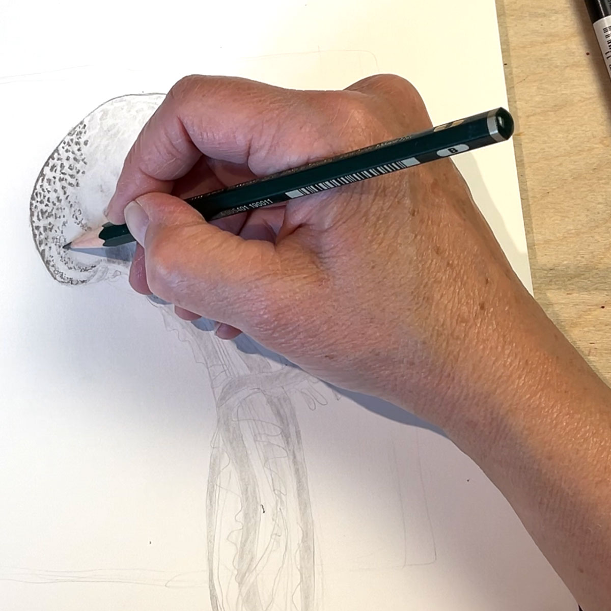 Zeichnenlernen, Zeichenkurse, zeichnen mit Bleistift, Bleistiftzeichnen, zeichenkrs in der nähe