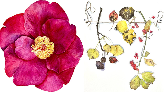Rote-Blume-und-Herbstblätter-lo Gastworkshop, Workshop, Aquarellworkshop Gastdozentin, Svetlana Eremenko-Wagener, Frankfurt, ArtAkademie, Bremgarten, Susanne Brem, realistische Aquarellmalerei