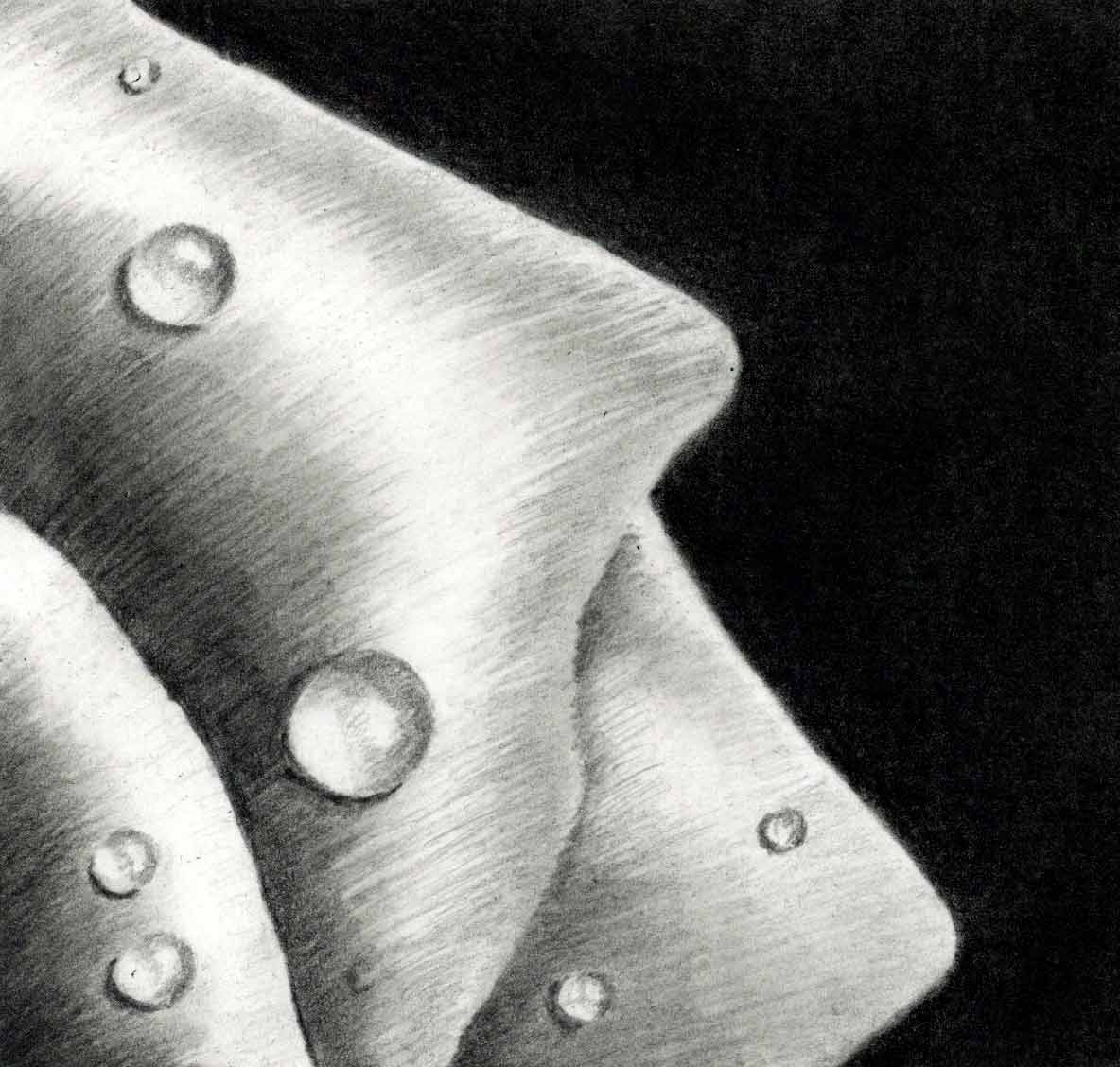 Wassertropfen-lo Schnupperlektion, Artakademie, Susanne Brem