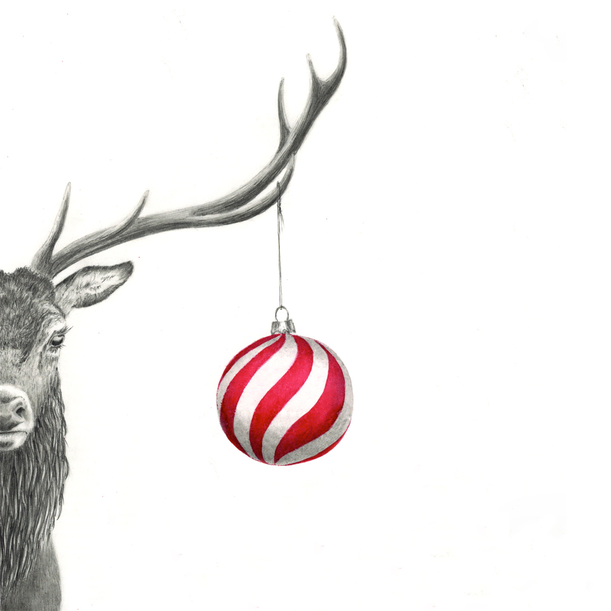 Weihnachtsgruss, weihnachtlicher Hirsch, Kurs, Zeichenkurs, zeichnen lernen, Susanne Brem, ART-Akademie Bremgarten