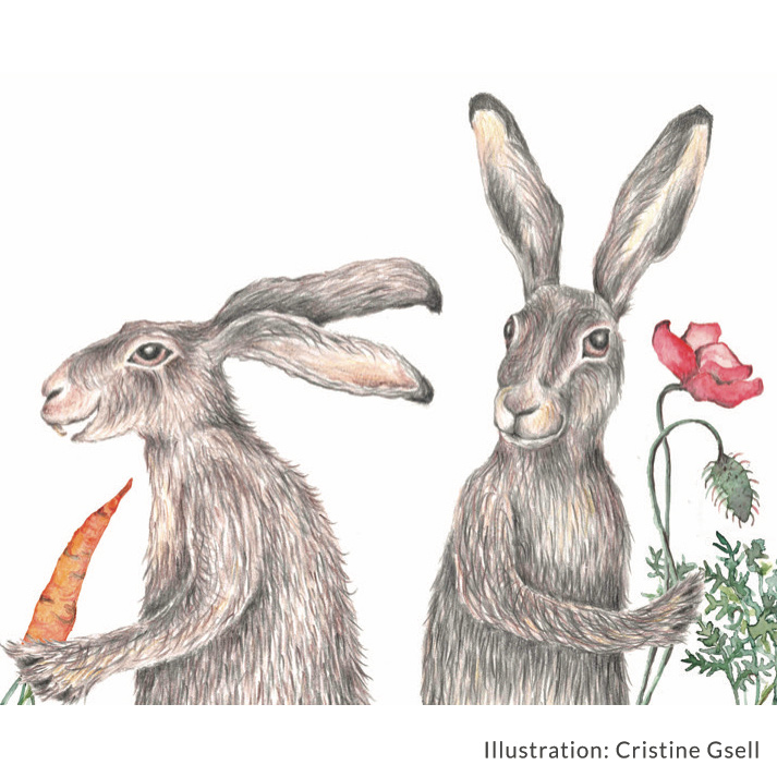 die kleine Milla und das grosse Glück Illustration Christine Gsell